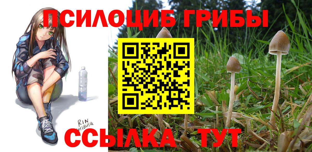 Галлюциногенные грибы ЛСД Будённовск
