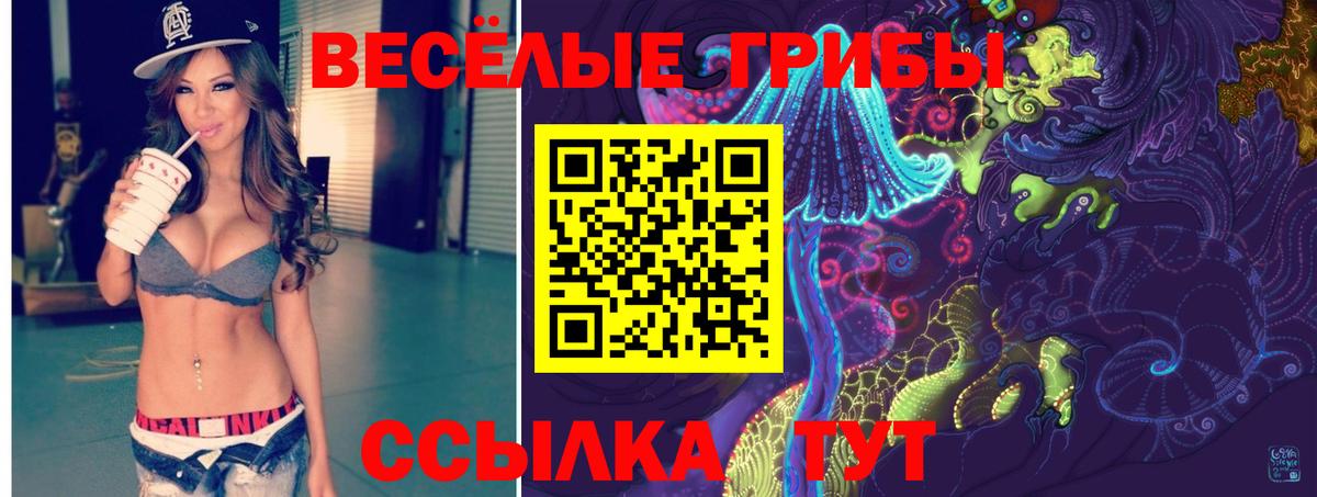 Будённовск  Галлюциногенные грибы Cubensis  Вход с VPN 